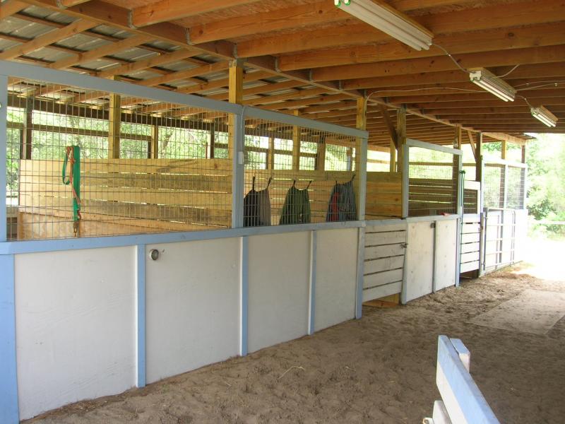 12x12 stalls are bright & airy with center aisle